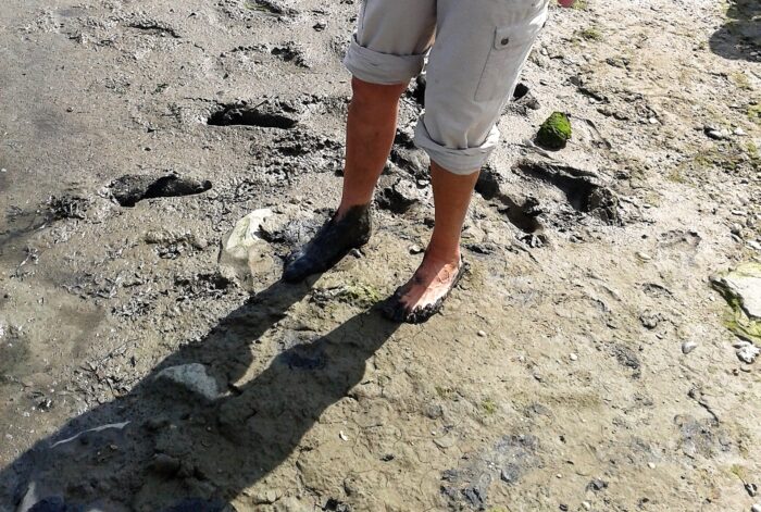 blote voeten op de bodem van de waddenzee tijdens het wadlopen